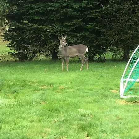 Lækkert I Gåafstand Til By Og Feriehus