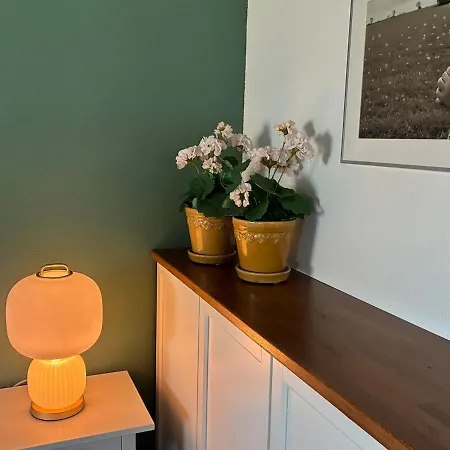 Laekkert I Gaafstand Til By Og