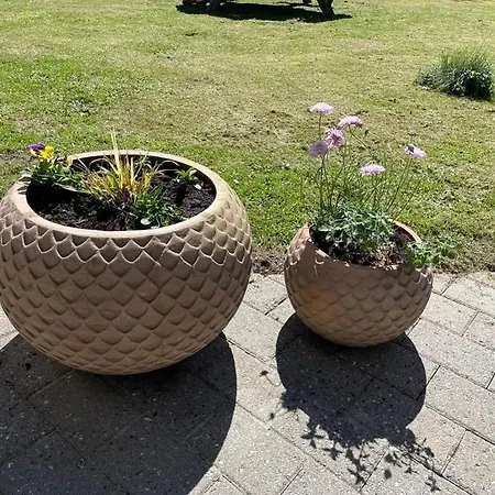 Laekkert I Gaafstand Til By Og